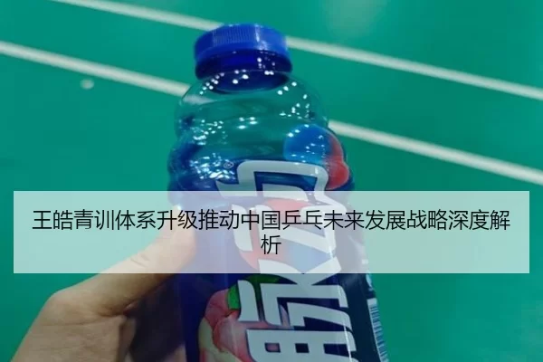 王皓青训体系升级推动中国乒乓未来发展战略深度解析